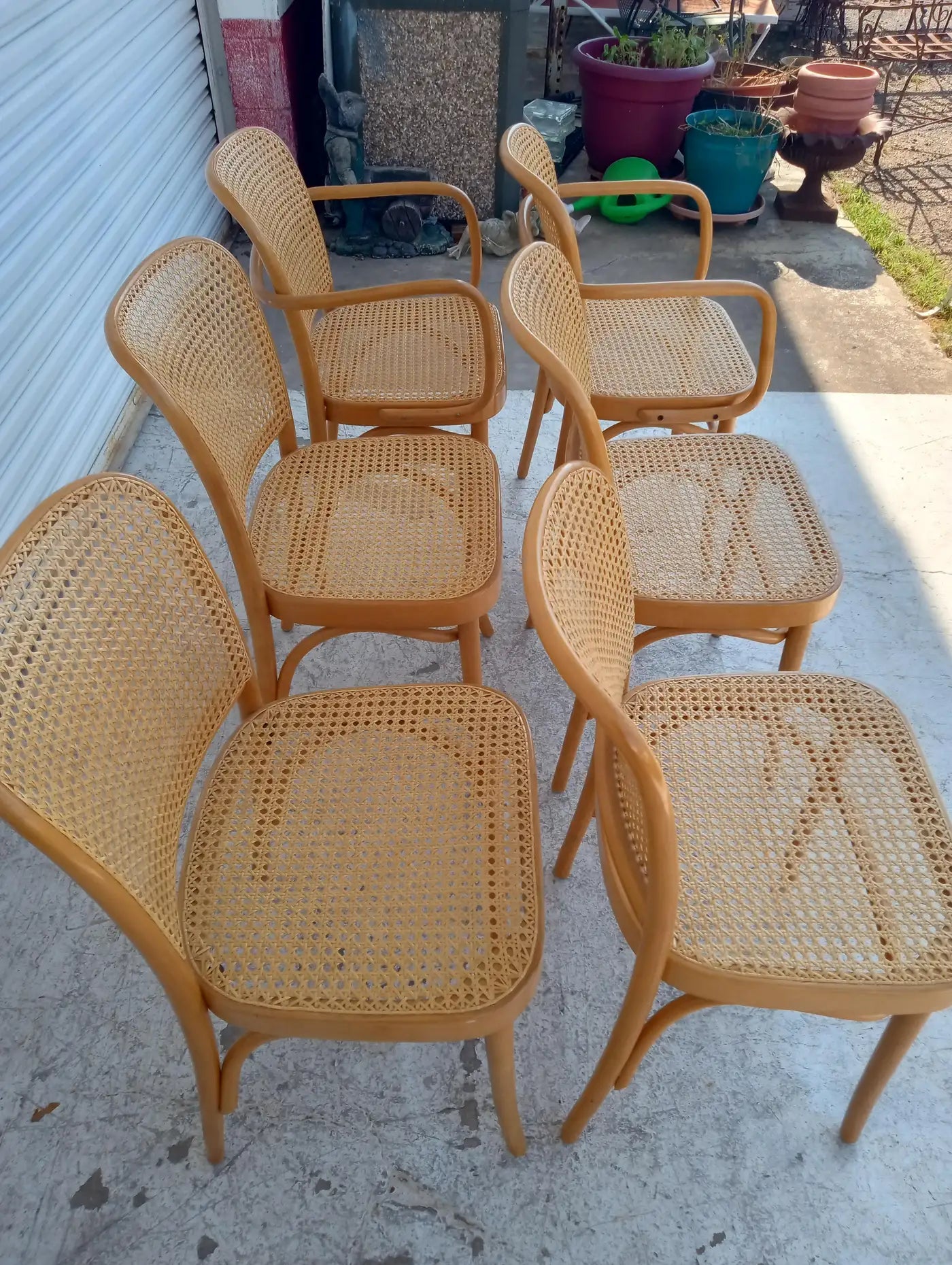 Josef Hoffman for Thonet Set of Six Bentwood and Cane Chairs