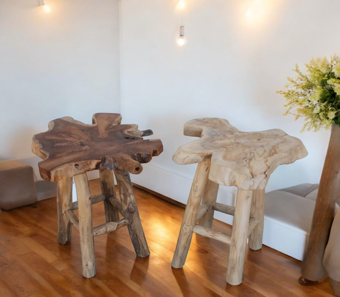 Pair of Rustic Live Edge Stools