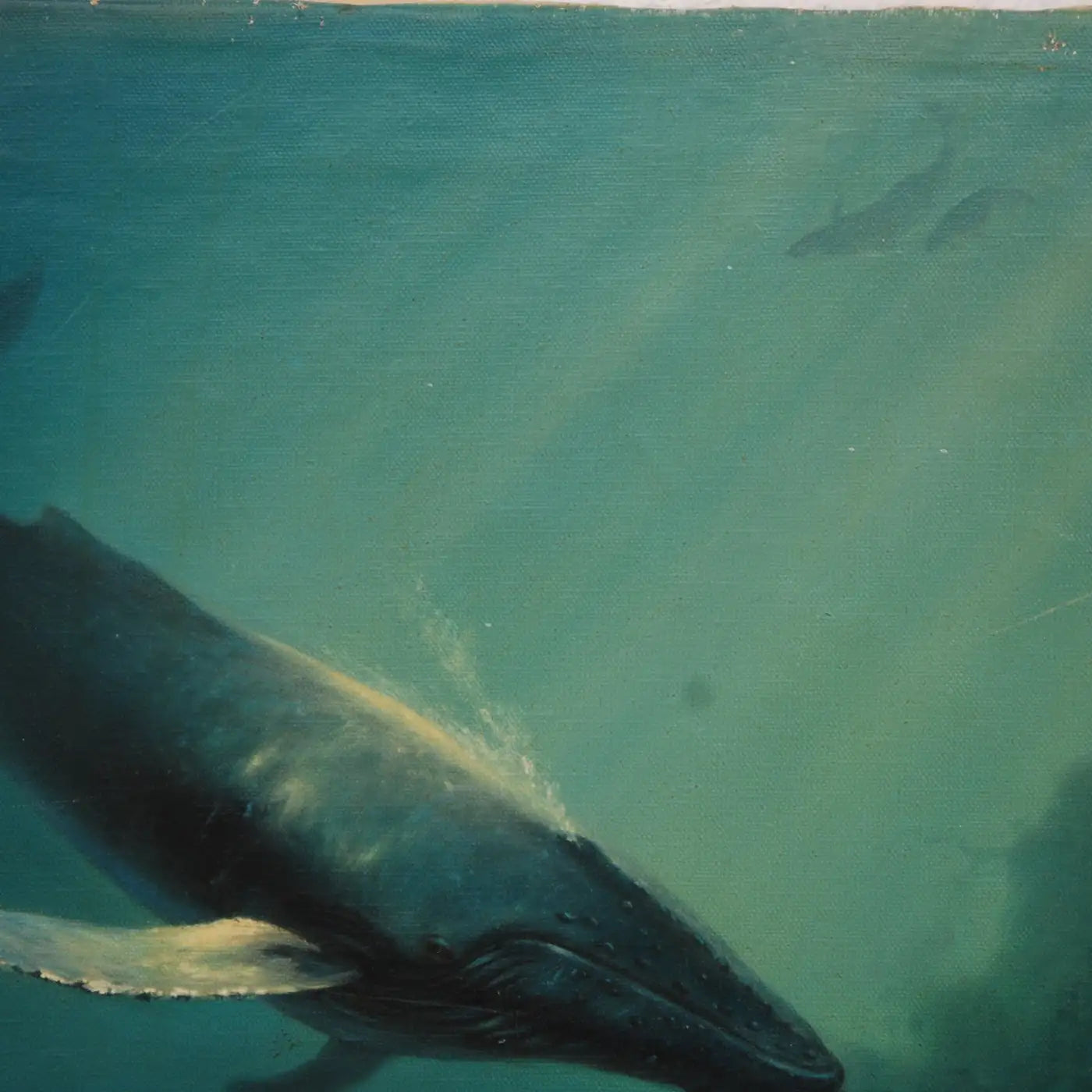 Anthony Casay Signed Marine Life Painting, 1989