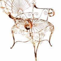 Soselini Outdoor Peacock Metal Arm Chair